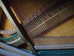     
: DSC01965.jpg
: 15
:	178.9 
ID:	7160690