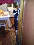     
: CAM00273.jpg
: 8
:	63.4 
ID:	7163123