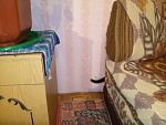     
: CAM00295.jpg
: 13
:	121.3 
ID:	7163127