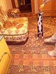     
: CAM00265.jpg
: 8
:	92.6 
ID:	7163129