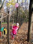     
: PB043875.jpg
: 10
:	276.2 
ID:	7164335