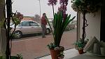     
: 2013-11-05 11.39.49.jpg
: 31
:	103.1 
ID:	7164393