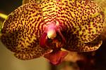     
: IMG_2686.jpg
: 7
:	125.2 
ID:	7166091