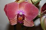     
: IMG_2677.jpg
: 5
:	106.4 
ID:	7166092