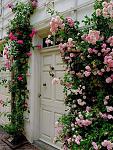     
: roses-in-garden-entrance1.jpg
: 7
:	136.7 
ID:	7168423