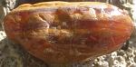     
: carn3.jpg
: 9
:	92.7 
ID:	7170104