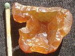    
: carn7.jpg
: 9
:	187.6 
ID:	7170112