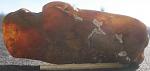     
: carn8.jpg
: 10
:	58.2 
ID:	7170115