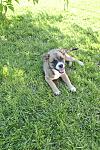     
: _DSC0515.jpg
: 11
:	200.2 
ID:	7171330
