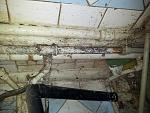     
: 2013-11-09 12.08.35.jpg
: 24
:	166.3 
ID:	7173165