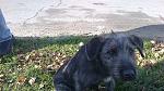     
: 09112013160.jpg
: 6
:	246.7 
ID:	7174600