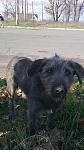     
: 09112013161.jpg
: 8
:	109.2 
ID:	7174601