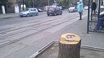     
: WP_002873.jpg
: 24
:	128.3 
ID:	7174891