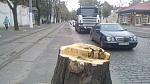     
: WP_002871.jpg
: 23
:	103.7 
ID:	7174900
