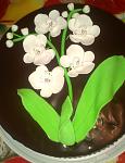     
: IMAG0025.jpg
: 14
:	107.6 
ID:	7176159