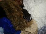     
: DSC07687.JPG
: 44
:	161.2 
ID:	7180341
