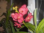     
: HPIM4166.jpg
: 8
:	116.3 
ID:	7180457