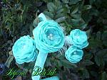     
: bcfc0dc.jpg
: 8
:	103.2 
ID:	7181545