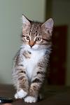     
: DSC_0392.jpg
: 5
:	43.8 
ID:	7185710