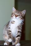     
: DSC_0393.jpg
: 7
:	47.5 
ID:	7185712