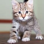     
: DSC_0400.jpg
: 9
:	39.5 
ID:	7185718