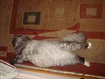     
: DSC09353.jpg
: 8
:	124.4 
ID:	7187358