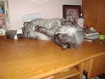     
: DSC09351.jpg
: 3
:	120.2 
ID:	7187359