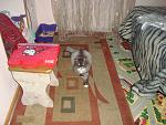     
: DSC09350.jpg
: 4
:	166.8 
ID:	7187360