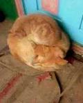     
: IMG0165A.jpg
: 20
:	6.1 
ID:	7187802