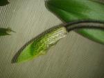     
: 2013-10-29 15.50.31.jpg
: 6
:	147.7 
ID:	7188483