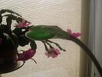     
: 2013-11-12 11.46.58.jpg
: 7
:	197.1 
ID:	7188484