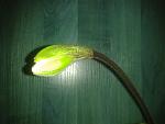     
: 2013-11-12 11.47.32.jpg
: 7
:	98.3 
ID:	7188487