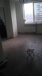     
: IMAG0234.jpg
: 30
:	40.2 
ID:	7189620