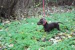     
: IMG_0601.jpg
: 4
:	213.7 
ID:	7191737