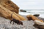     
: IMG_0496.jpg
: 4
:	167.1 
ID:	7191743
