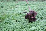    
: IMG_0591.jpg
: 5
:	177.2 
ID:	7191744