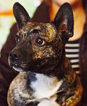     
: DSC_0095.jpg
: 7
:	101.3 
ID:	7194388