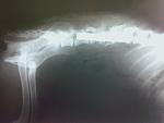     
: IMG_20131113_191748.jpg
: 26
:	67.6 
ID:	7197674