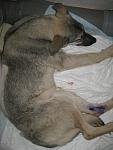     
: IMG_8506.jpg
: 20
:	85.5 
ID:	7197686