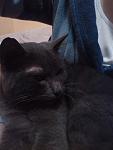     
: IMG_20131114_072603.jpg
: 43
:	66.9 
ID:	7199322