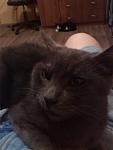     
: IMG_20131114_072509.jpg
: 43
:	52.5 
ID:	7199325