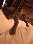    
: IMG_20131027_152224.jpg
: 4
:	77.9 
ID:	7201346