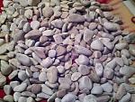     
: IMG_20-10-2011_180614.jpg
: 19
:	173.5 
ID:	7204817