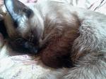     
: 2013-11-16_13.47.18[1].jpg
: 11
:	155.3 
ID:	7215346