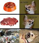     
: 2f2XfucLyUs.jpg
: 8
:	68.2 
ID:	7215877