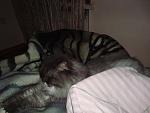     
: DSC09370.jpg
: 2
:	93.8 
ID:	7217756