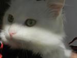     
: DSCN4560.jpg
: 9
:	44.1 
ID:	7218557