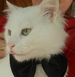     
: DSCN4554.jpg
: 5
:	63.6 
ID:	7218558