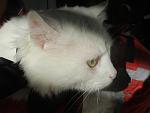     
: DSCN4562.jpg
: 2
:	90.8 
ID:	7218580