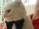     
: DSCN4550.jpg
: 7
:	81.2 
ID:	7218581